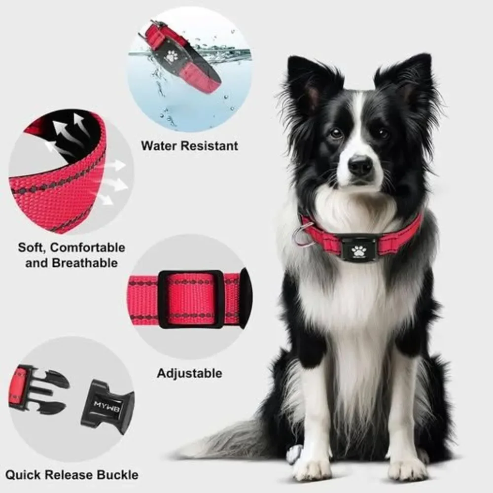 GPS Dog Collar Tracker 2-in-1
